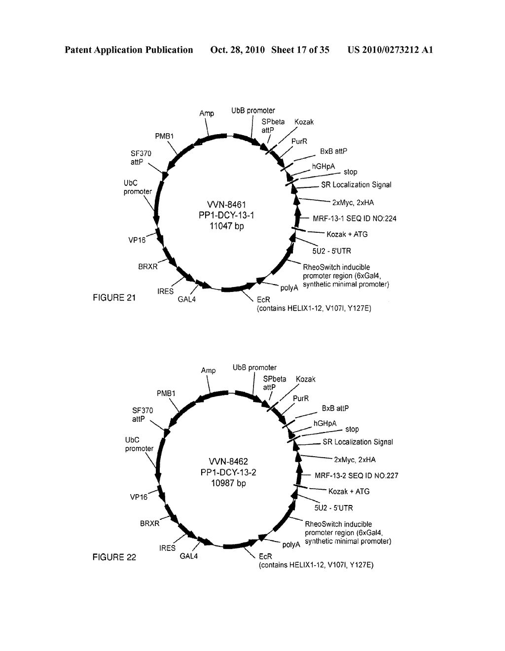 PP1 Ligands - diagram, schematic, and image 18