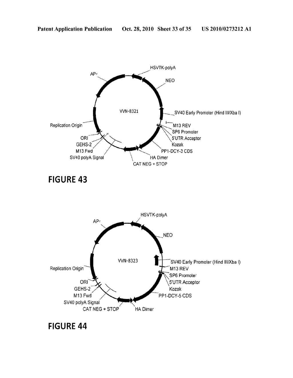 PP1 Ligands - diagram, schematic, and image 34