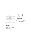 METHOD FOR EXPRESSION OF SPECIFIC GENE diagram and image