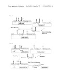 METHOD FOR EXPRESSION OF SPECIFIC GENE diagram and image