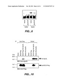 Apo-2DcR diagram and image