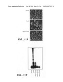 Apo-2DcR diagram and image