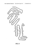 POLYNUCLEOTIDES ENCODING ACETYLCHOLINE-GATED CHLORIDE CHANNEL SUBUNITS OF CAENORHABDITIS ELEGANS diagram and image