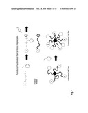 Surface-Decorated Polymeric Amphiphile Porogens for the Templation of Nanoporous Materials diagram and image