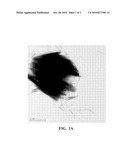 CHITOSAN FILMS WITH REDUCED SHRINKAGE AND LAMINATES MADE THEREFROM diagram and image