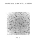 CHITOSAN FILMS WITH REDUCED SHRINKAGE AND LAMINATES MADE THEREFROM diagram and image