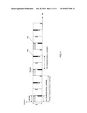 RADIO COMMUNICATION BASE STATION DEVICE AND CORRELATION SETTING METHOD diagram and image