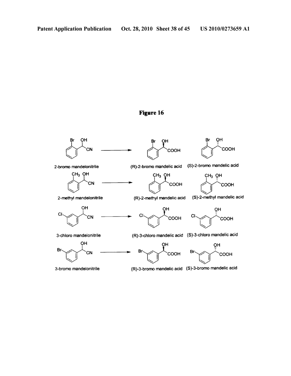 Nitrilases, Nucleic Acids Encoding Them and Methods for Making and Using Them - diagram, schematic, and image 39