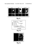 ONCOGENOMICS-BASED RNAi SCREEN AND USE THEREOF TO IDENTIFY NOVEL TUMOR SUPPRESSORS diagram and image