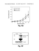 ONCOGENOMICS-BASED RNAi SCREEN AND USE THEREOF TO IDENTIFY NOVEL TUMOR SUPPRESSORS diagram and image