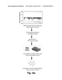 ONCOGENOMICS-BASED RNAi SCREEN AND USE THEREOF TO IDENTIFY NOVEL TUMOR SUPPRESSORS diagram and image