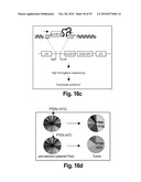 ONCOGENOMICS-BASED RNAi SCREEN AND USE THEREOF TO IDENTIFY NOVEL TUMOR SUPPRESSORS diagram and image