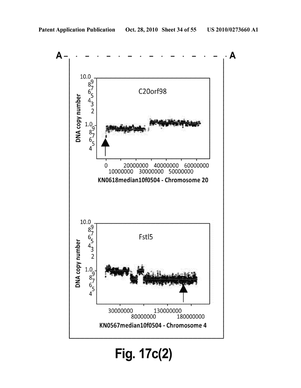 ONCOGENOMICS-BASED RNAi SCREEN AND USE THEREOF TO IDENTIFY NOVEL TUMOR SUPPRESSORS - diagram, schematic, and image 35