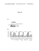 ONCOGENOMICS-BASED RNAi SCREEN AND USE THEREOF TO IDENTIFY NOVEL TUMOR SUPPRESSORS diagram and image