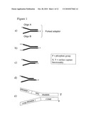 Method of preparing libraries of template polynucleotides diagram and image