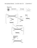 Method of preparing libraries of template polynucleotides diagram and image