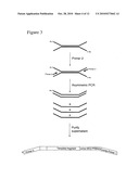 Method of preparing libraries of template polynucleotides diagram and image