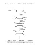 Method of preparing libraries of template polynucleotides diagram and image