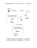 Method of preparing libraries of template polynucleotides diagram and image