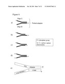 Method of preparing libraries of template polynucleotides diagram and image