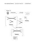 Method of preparing libraries of template polynucleotides diagram and image