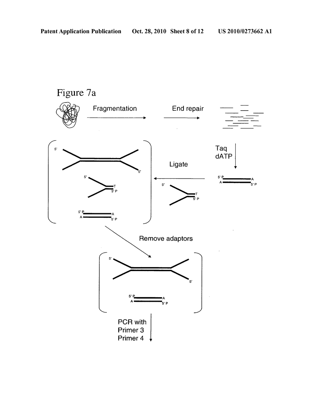 Method of preparing libraries of template polynucleotides - diagram, schematic, and image 09