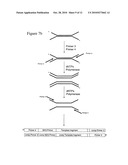 Method of preparing libraries of template polynucleotides diagram and image