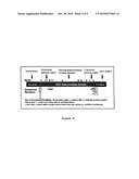 METHOD FOR SELECTING A PEPTIDE OR POLYPEPTIDE WHICH BINDS TO A TARGET diagram and image