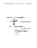 METHOD FOR SELECTING A PEPTIDE OR POLYPEPTIDE WHICH BINDS TO A TARGET diagram and image