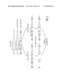 METHOD FOR THE ANALYSIS OF OVARIAN CANCER DISORDERS diagram and image