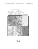 METHOD FOR THE ANALYSIS OF OVARIAN CANCER DISORDERS diagram and image