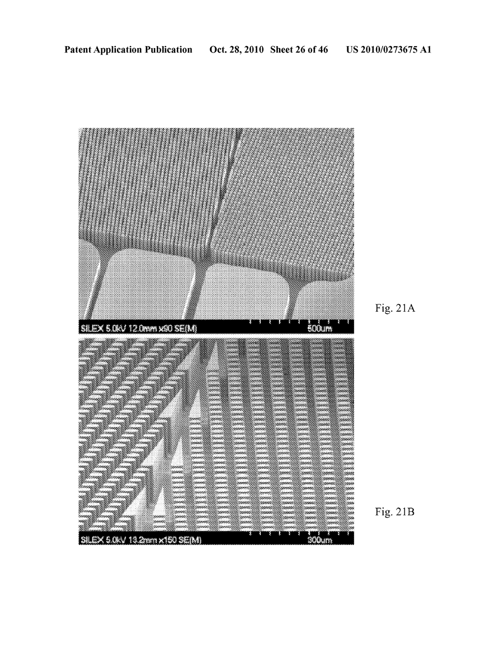 Methods for detecting fetal abnormality - diagram, schematic, and image 27