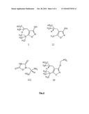 METHOD AND KIT TO PERFORM A PCR AMPLIFICATION AND MICRO-ARRAY DETECTION IN THE SAME MEDIUM AND/OR SAME CHAMBER diagram and image