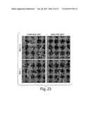 METHODS OF MODULATING CELLULAR HOMEOSTATIC PATHWAYS AND CELLULAR SURVIVAL diagram and image