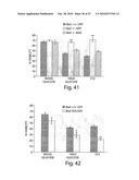 METHODS OF MODULATING CELLULAR HOMEOSTATIC PATHWAYS AND CELLULAR SURVIVAL diagram and image