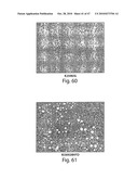 METHODS OF MODULATING CELLULAR HOMEOSTATIC PATHWAYS AND CELLULAR SURVIVAL diagram and image