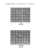 METHODS OF MODULATING CELLULAR HOMEOSTATIC PATHWAYS AND CELLULAR SURVIVAL diagram and image