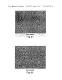 METHODS OF MODULATING CELLULAR HOMEOSTATIC PATHWAYS AND CELLULAR SURVIVAL diagram and image