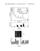 ANTIMICROBIAL THERAPY diagram and image