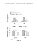 ANTIMICROBIAL THERAPY diagram and image