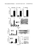 ANTIMICROBIAL THERAPY diagram and image