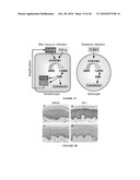 ANTIMICROBIAL THERAPY diagram and image