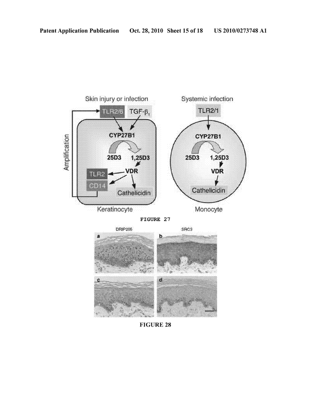 ANTIMICROBIAL THERAPY - diagram, schematic, and image 16