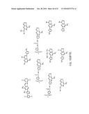 INHIBITION OF ALPHA-SYNUCLEIN TOXICITY diagram and image