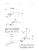 BETULIN DERIVED COMPOUNDS USEFUL AS ANTIBACTERIAL AGENTS diagram and image