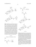 BETULIN DERIVED COMPOUNDS USEFUL AS ANTIBACTERIAL AGENTS diagram and image