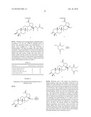 BETULIN DERIVED COMPOUNDS USEFUL AS ANTIBACTERIAL AGENTS diagram and image