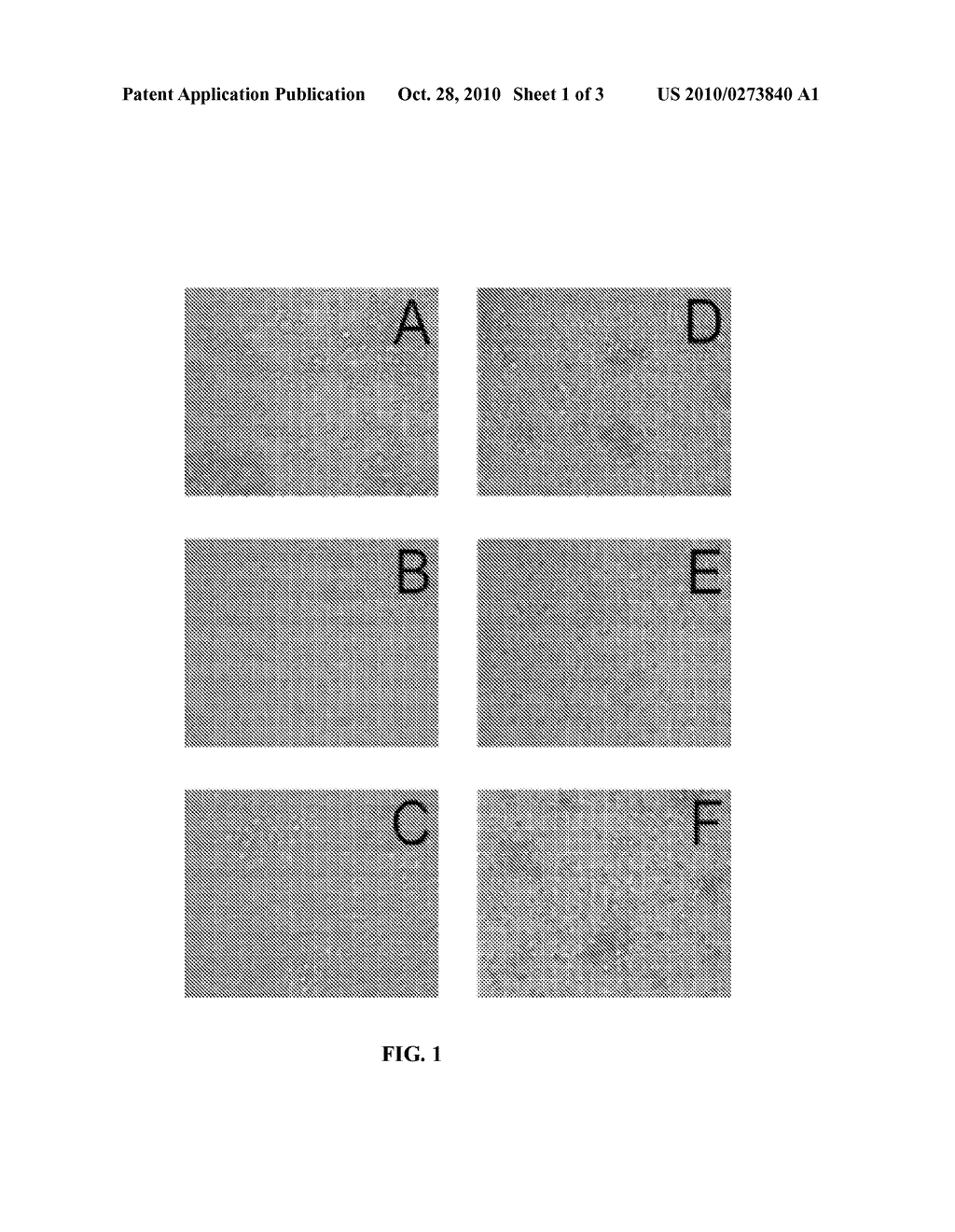 WATER-SOLUBLE POLYMER-BASED CANTHARIMIDES AS POTENTIALLY SELECTIVE ANTI-TUMOR AGENTS - diagram, schematic, and image 02