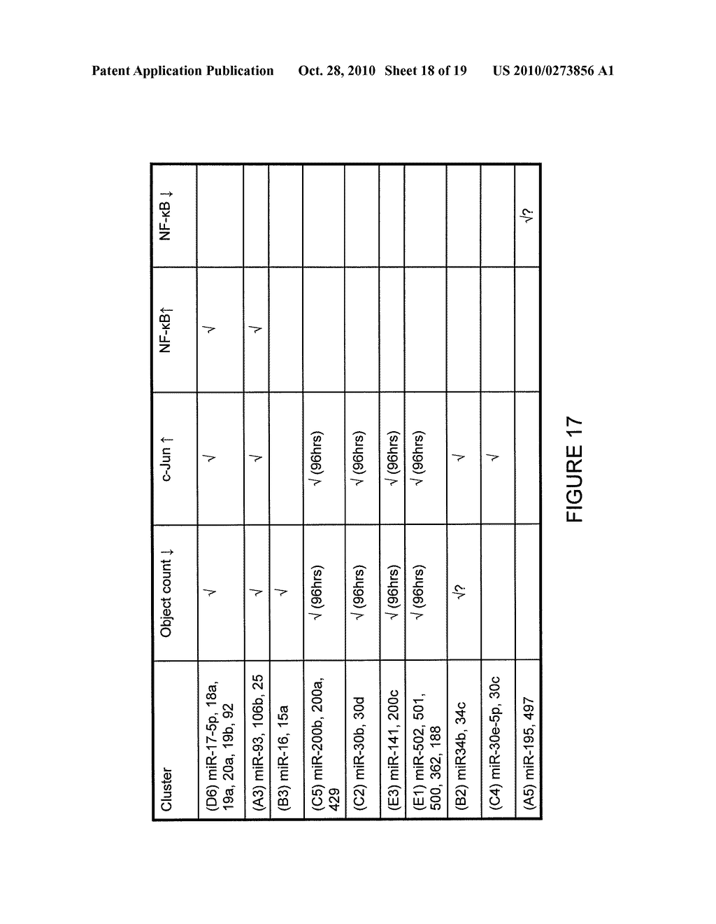 SCREENING OF MICRO-RNA CLUSTER INHIBITOR POOLS - diagram, schematic, and image 19