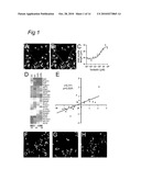 Polypeptides involved in neuronal regeneration-associated gene expression diagram and image